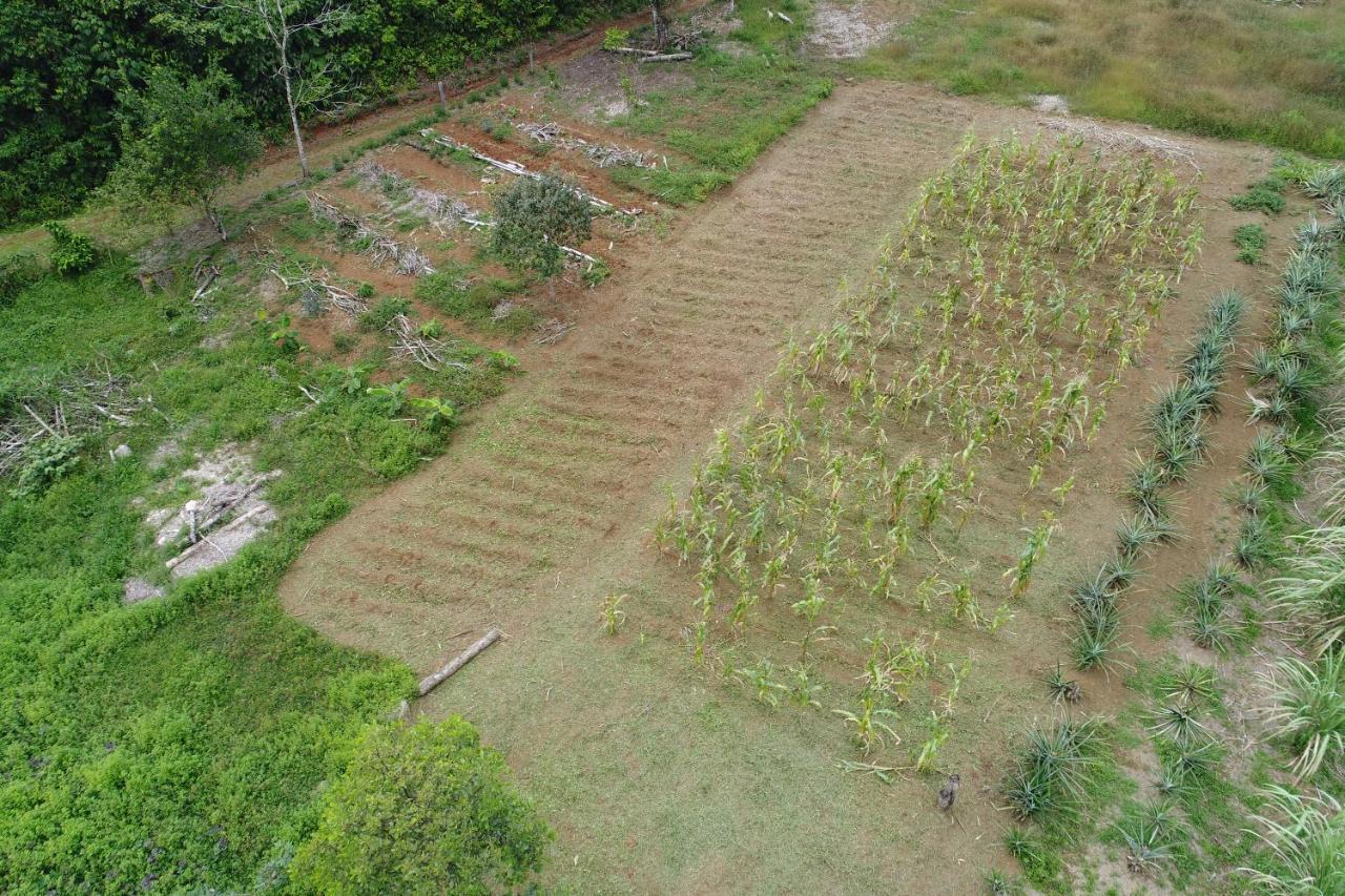 Hope Garden, Sarapiqui, We Connect You With The Sarapiqui Tropical Forest 外观 照片