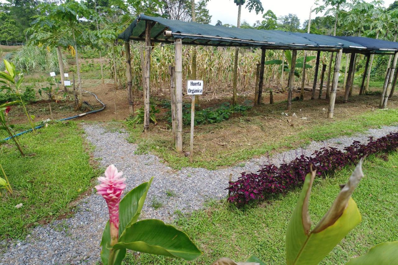 Hope Garden, Sarapiqui, We Connect You With The Sarapiqui Tropical Forest 外观 照片