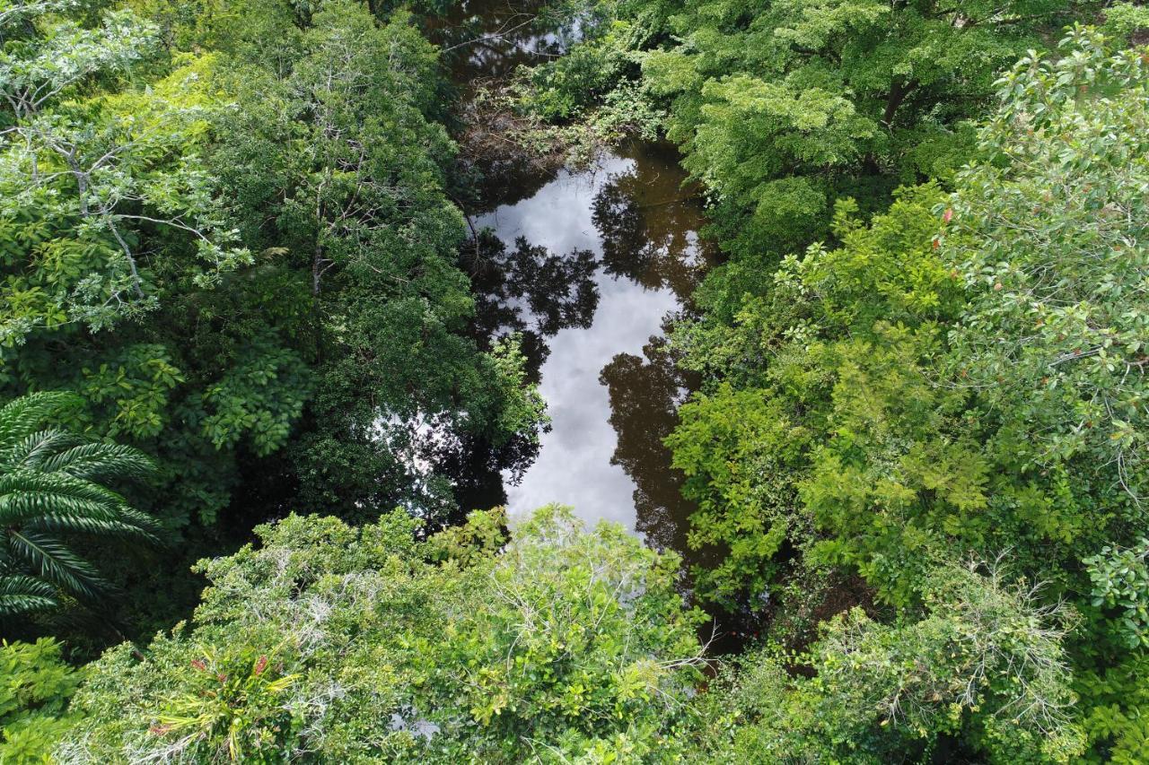 Hope Garden, Sarapiqui, We Connect You With The Sarapiqui Tropical Forest 外观 照片