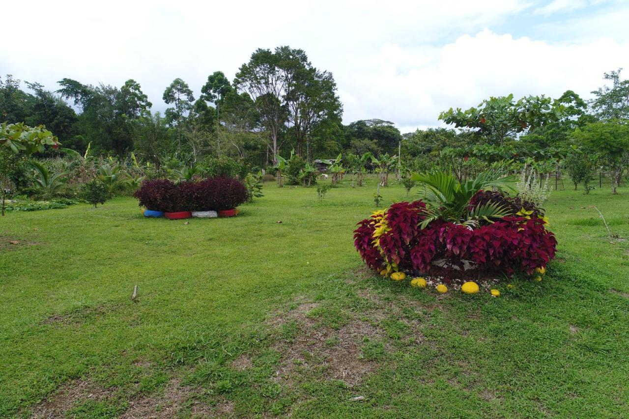 Hope Garden, Sarapiqui, We Connect You With The Sarapiqui Tropical Forest 外观 照片