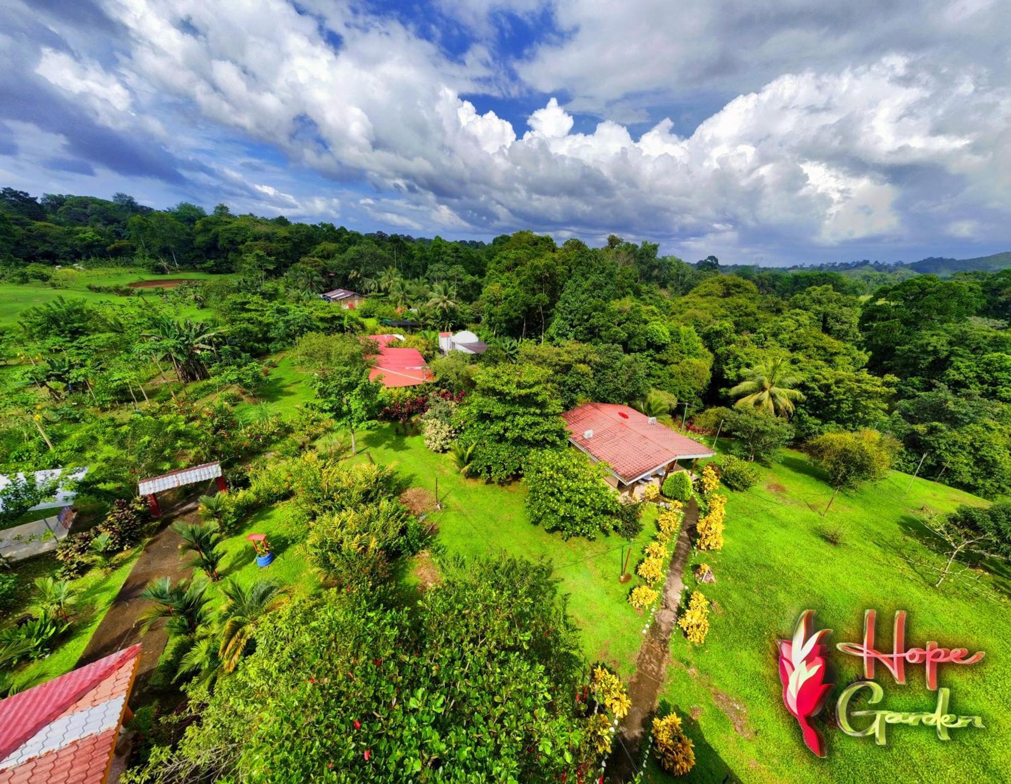 Hope Garden, Sarapiqui, We Connect You With The Sarapiqui Tropical Forest 外观 照片