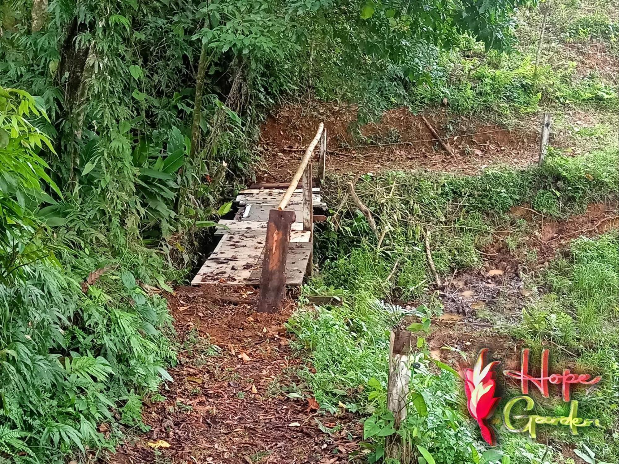 Hope Garden, Sarapiqui, We Connect You With The Sarapiqui Tropical Forest 外观 照片
