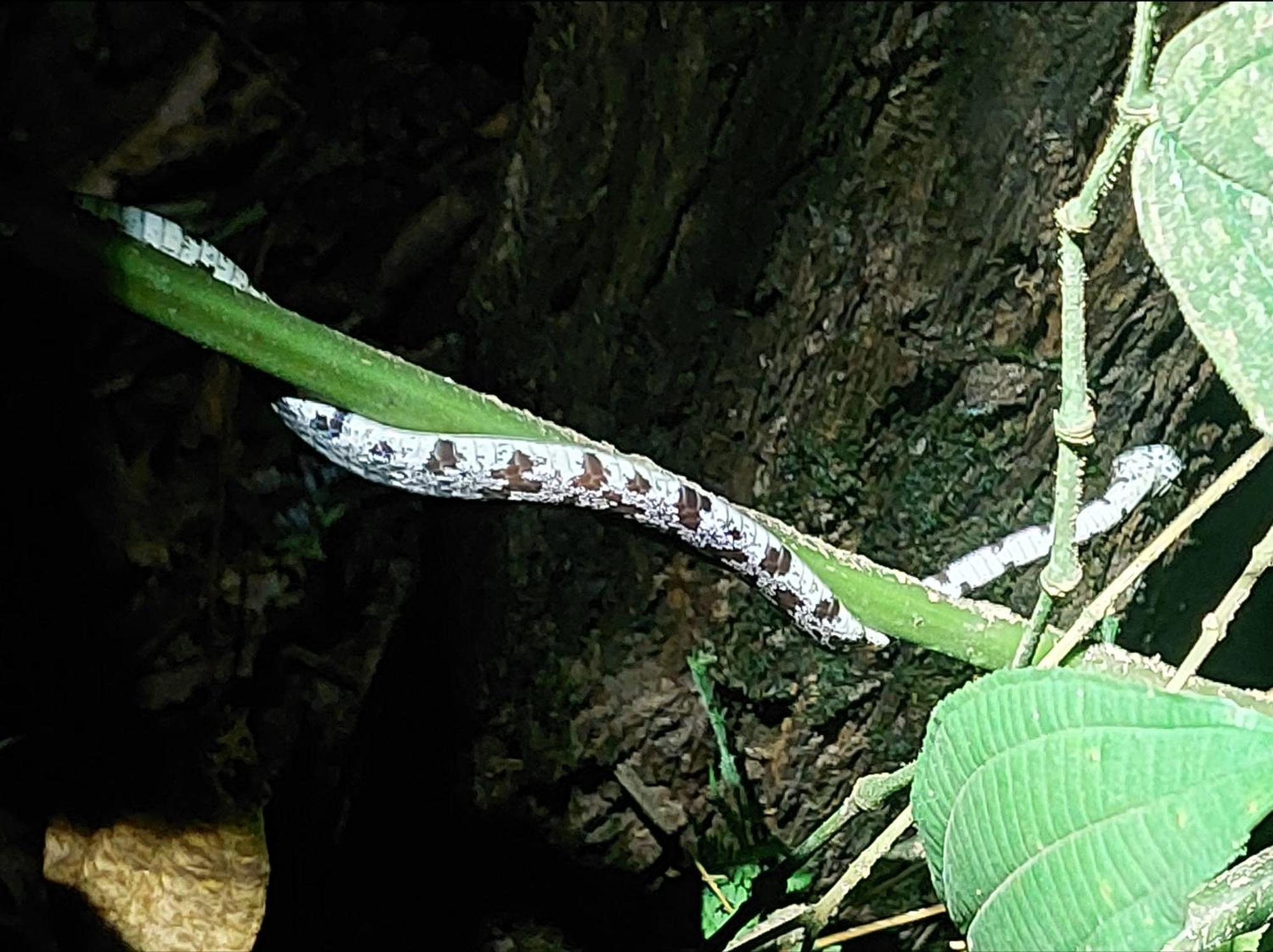 Hope Garden, Sarapiqui, We Connect You With The Sarapiqui Tropical Forest 外观 照片