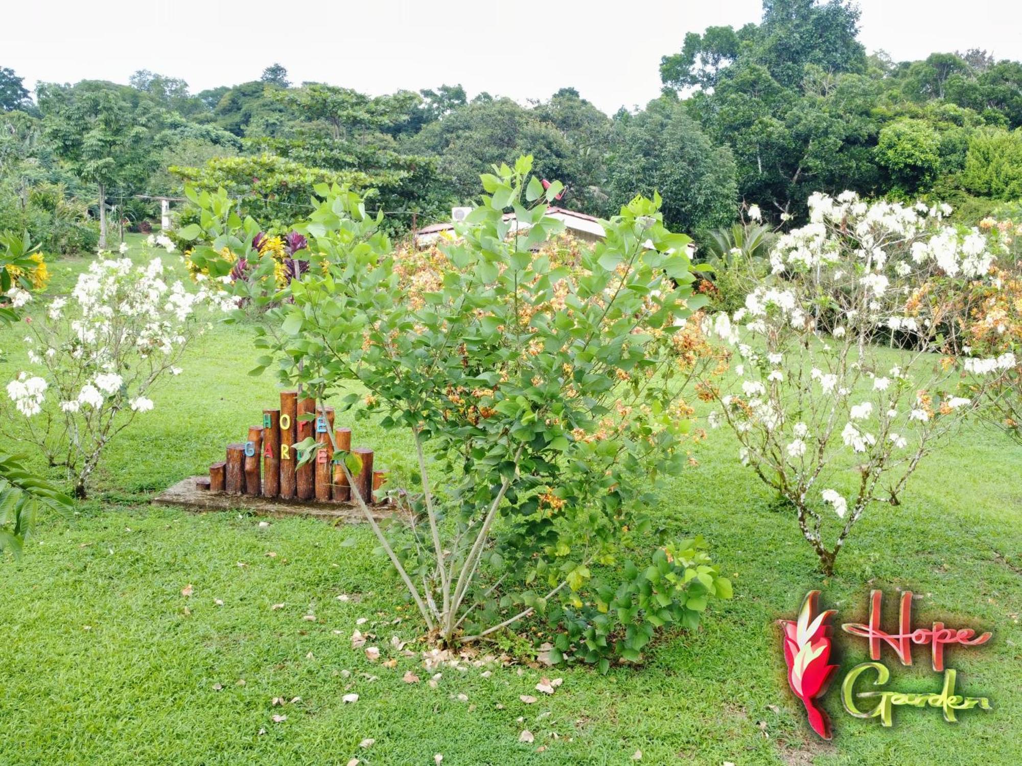 Hope Garden, Sarapiqui, We Connect You With The Sarapiqui Tropical Forest 外观 照片