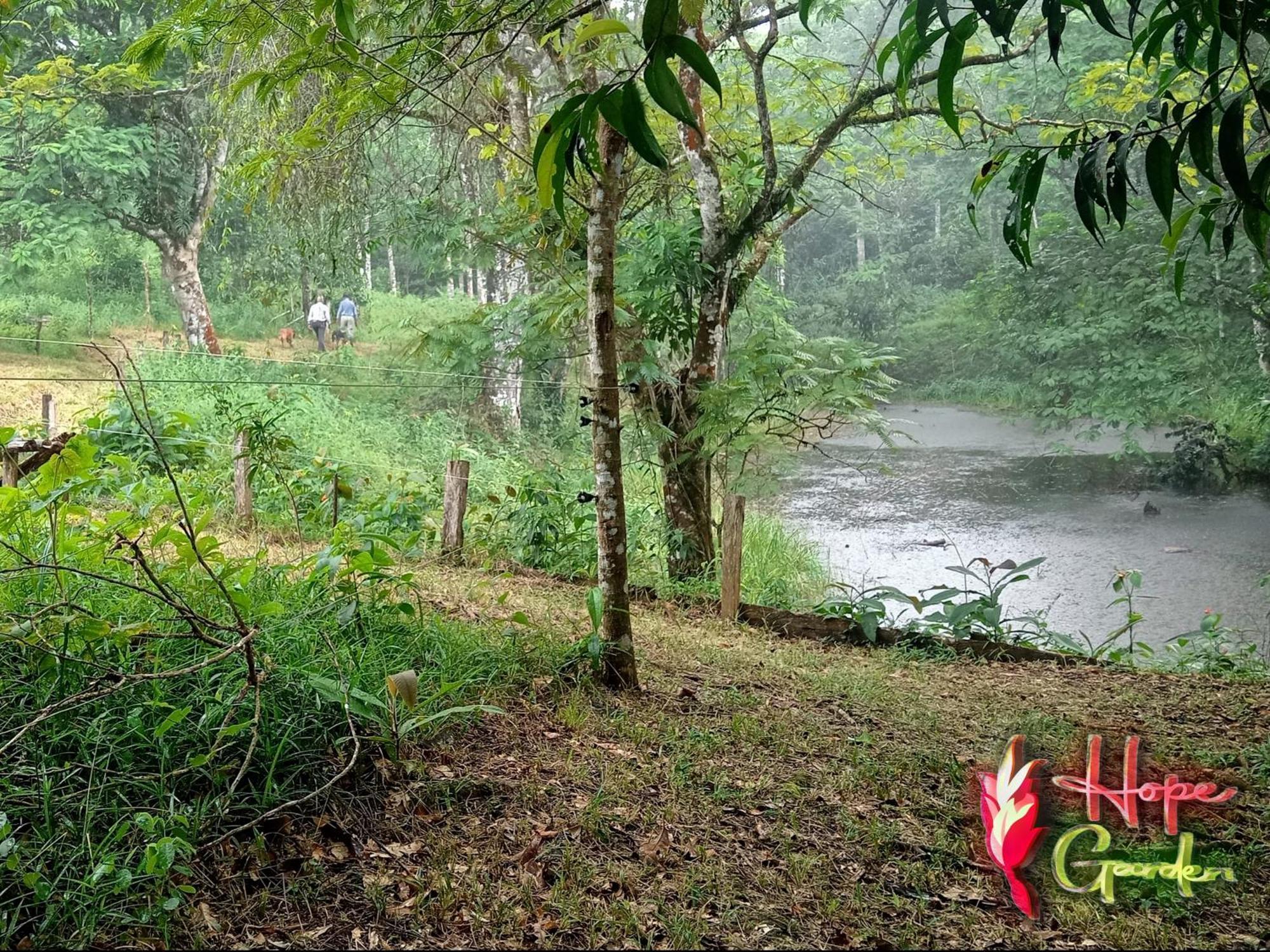 Hope Garden, Sarapiqui, We Connect You With The Sarapiqui Tropical Forest 外观 照片