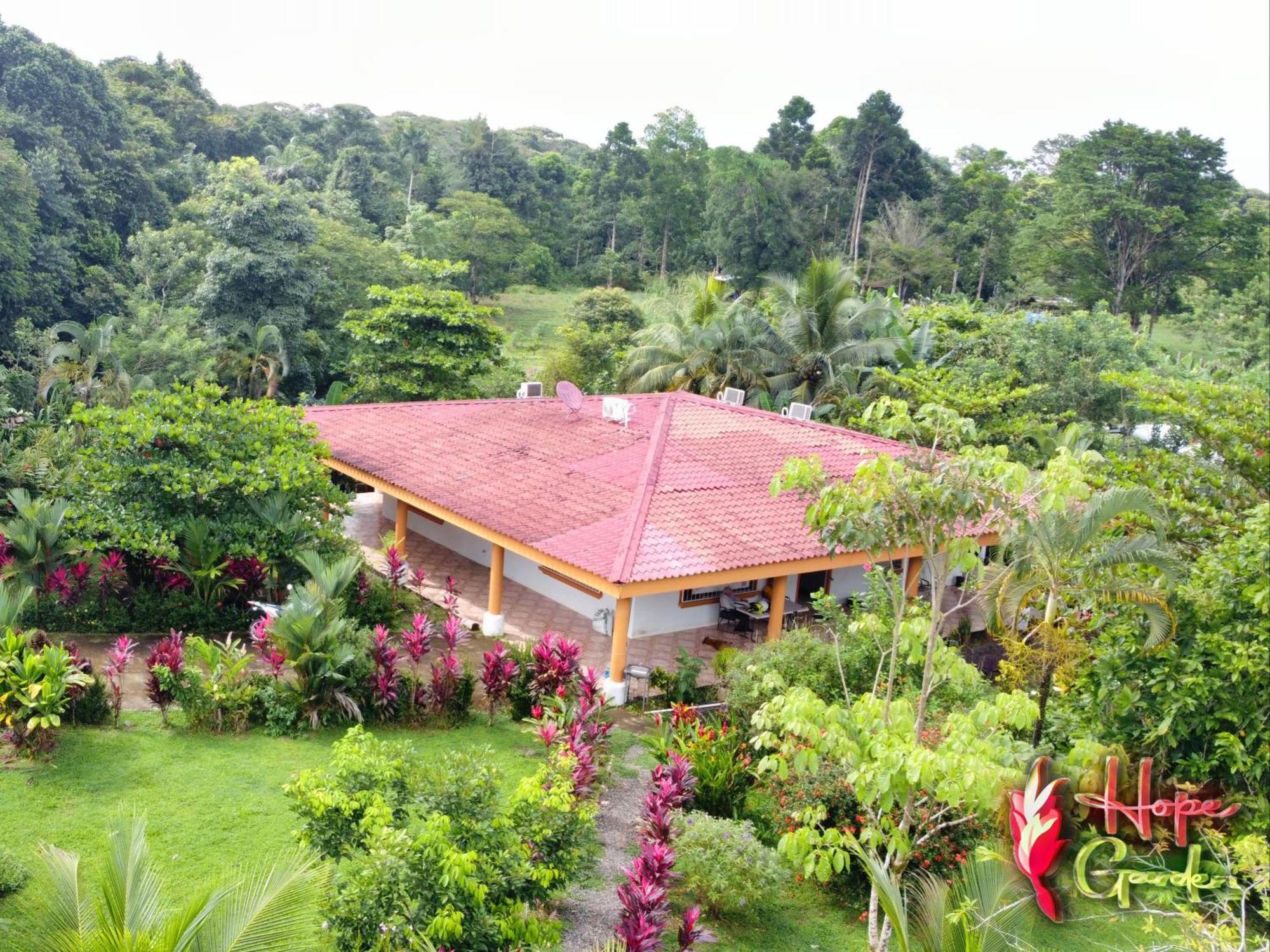 Hope Garden, Sarapiqui, We Connect You With The Sarapiqui Tropical Forest 外观 照片