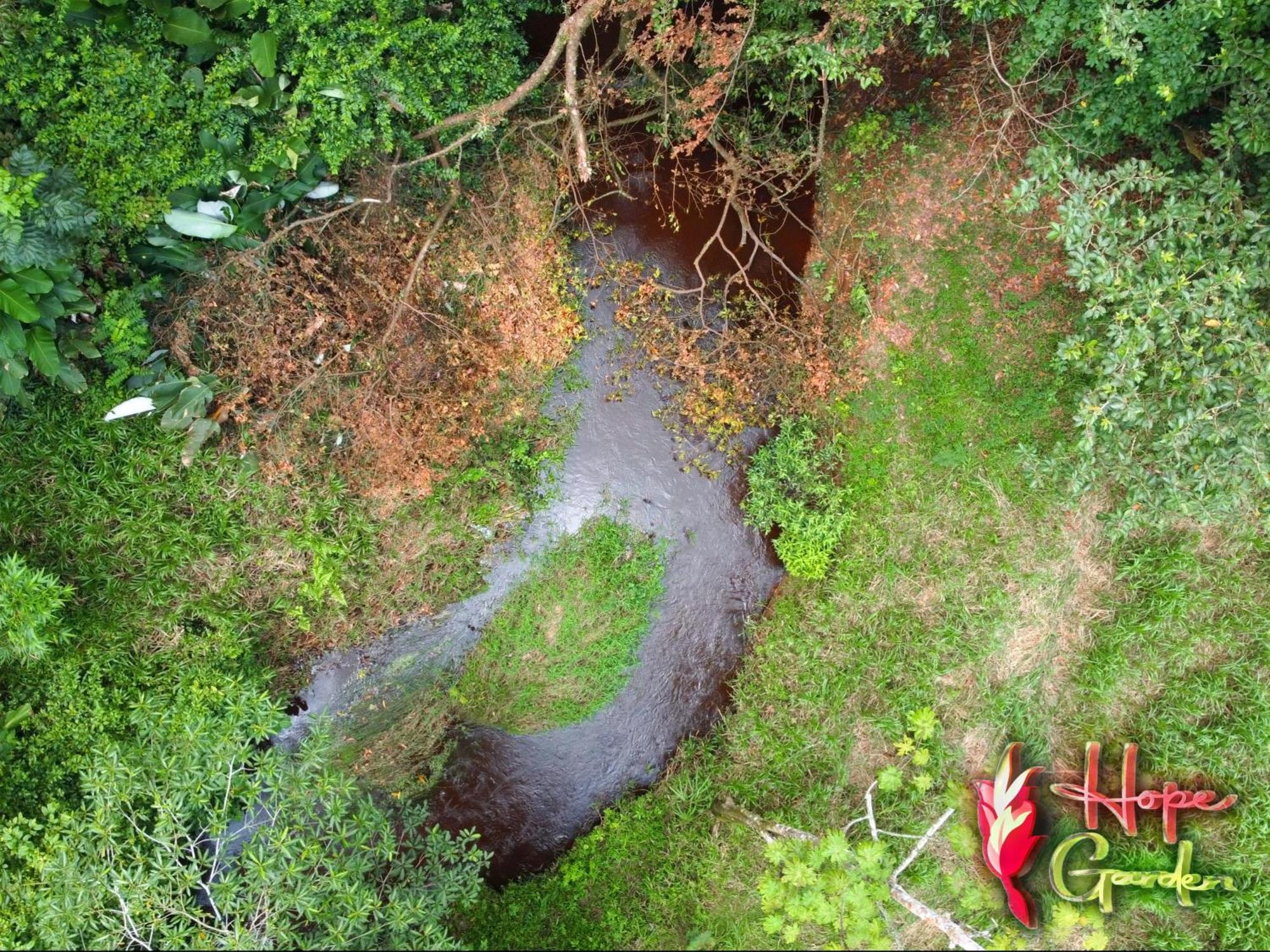 Hope Garden, Sarapiqui, We Connect You With The Sarapiqui Tropical Forest 外观 照片