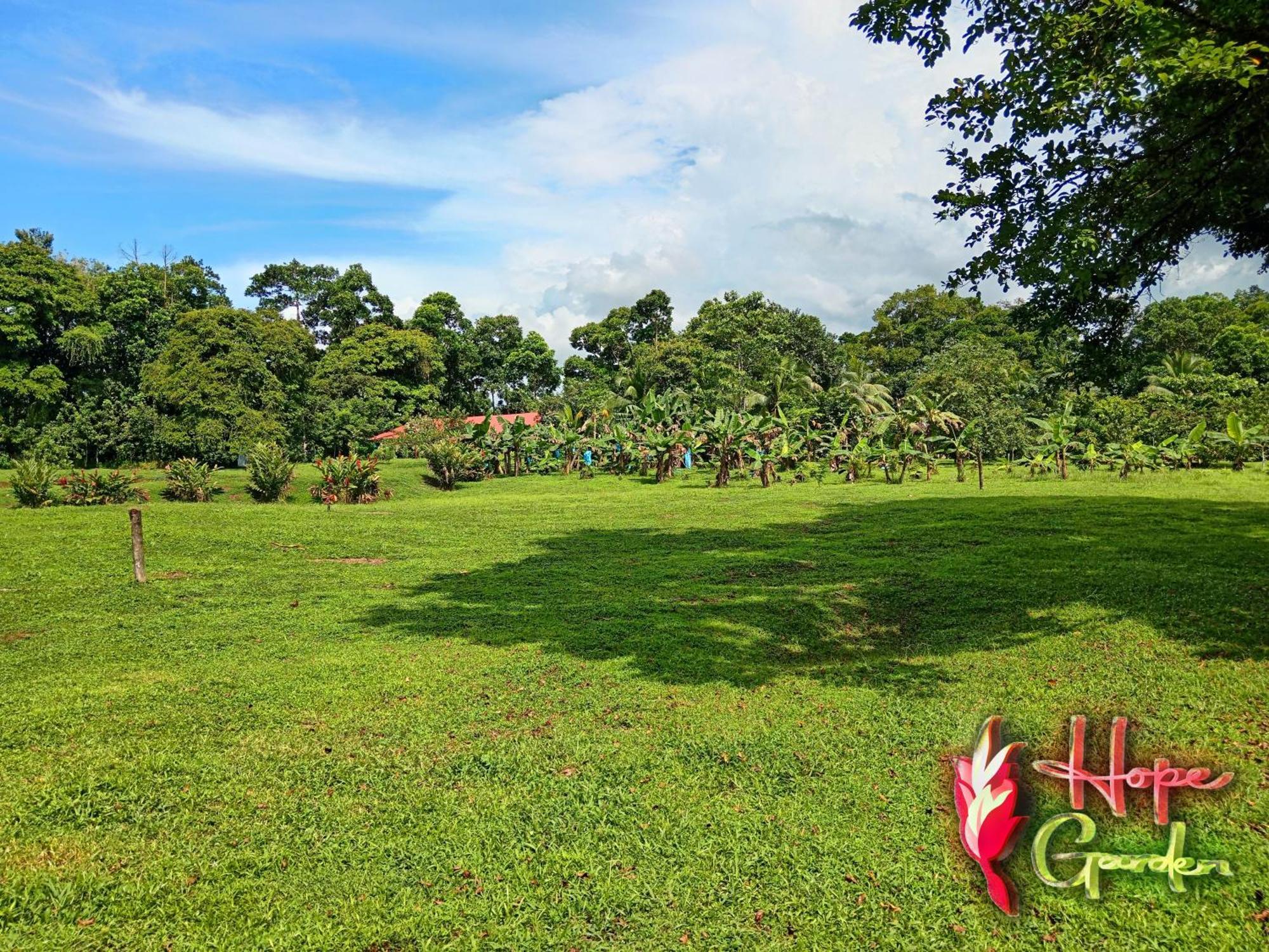 Hope Garden, Sarapiqui, We Connect You With The Sarapiqui Tropical Forest 外观 照片